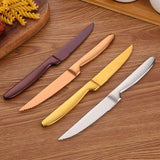 Buyer Star Bulk Sale Competitive Price Steak Knife Mirror Polishing for Restaurant