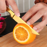 Amazon Hot Sale Stainless Steel Fruit Knife Various Colors for You to Choose from