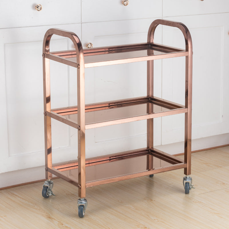 Stainless Steel Dining Car Trolley Commercial Dining Car Receiving Bowl Restaurant Food Hotel Serving Car(3 Layers)