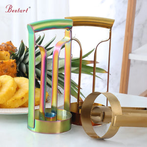 Kitchen Accessories Pineapple Peeler Cutter Meat Extractor Stainless Steel Slicer Fruit Vegetable Tool