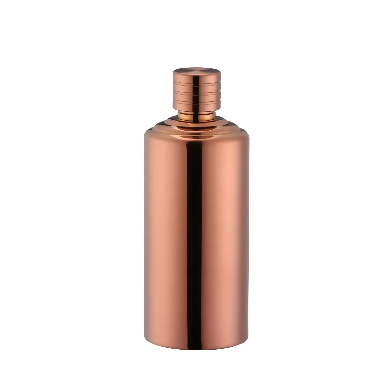 Factory Stainless Steel Wine Bottles Double Walled Insulated Beer Growler Camping Bottle with Magnet Lid