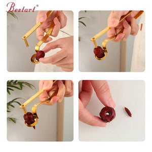 Kitchen Gadget Stainless Steel Putter Red Date Hawthorn Cherry Olive Plum Sheller Fruit Jujube Corer Seed Remover