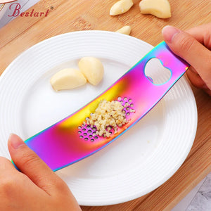 OEM/ODM Trending Manual Crusher Kitchen Accessories Tool Garlic Peeler Brush Stainless Steel Garlic Press