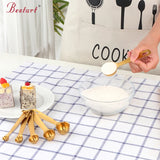 Set of 6 Mini Oval Shape Stainless Steel Measuring Spoons Set