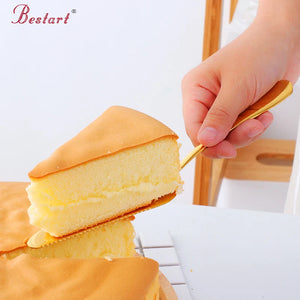 ODM/OEM top seller kitchen accessories High quality Baking tools cake shovel Cake Tools