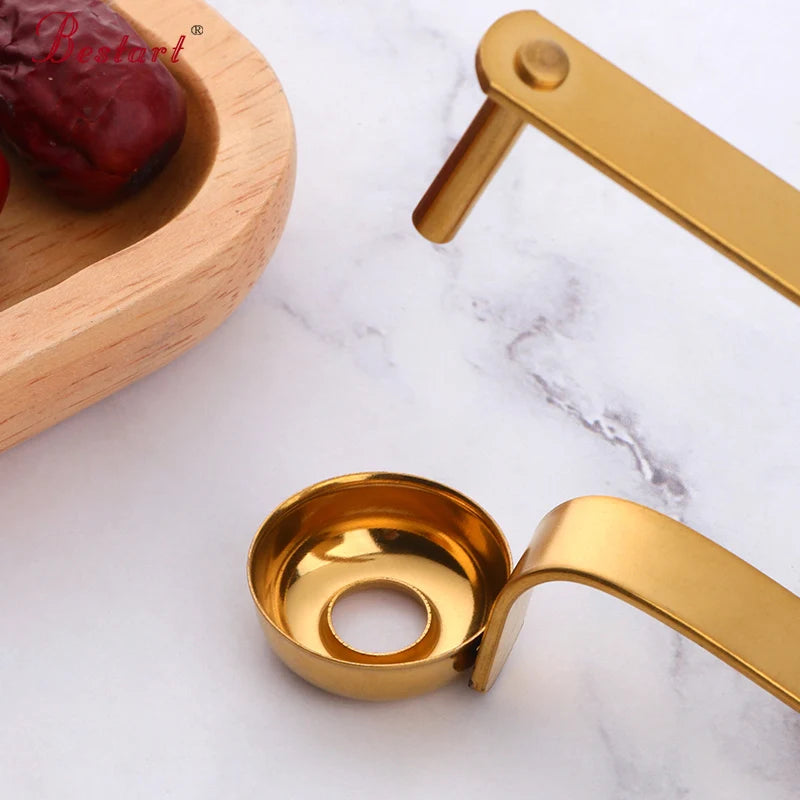 Kitchen Gadget Stainless Steel Putter Red Date Hawthorn Cherry Olive Plum Sheller Fruit Jujube Corer Seed Remover
